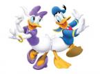 Disney Wallpaper Donald Duck 041